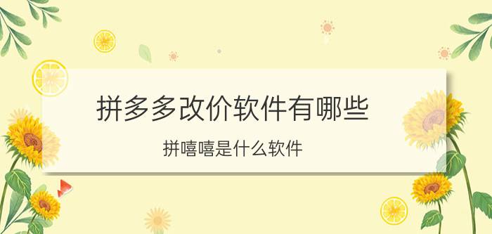 拼多多改价软件有哪些 拼嘻嘻是什么软件？